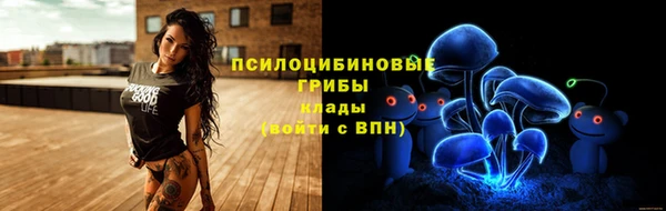 ALPHA-PVP Елизово