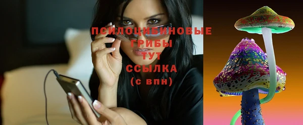 крисы Абаза